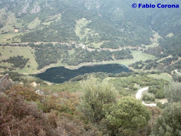 Laghi .....della SARDEGNA